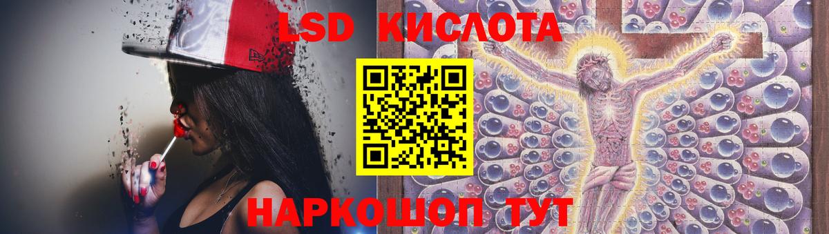 Псилоцибиновые грибы Корсаков