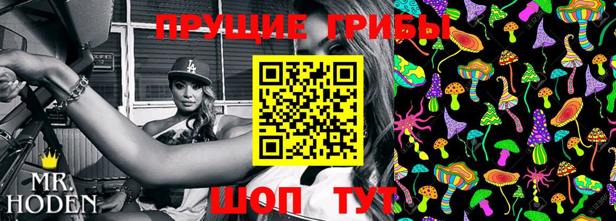 Корсаков  Галлюциногенные грибы Magic Shrooms  Вход с VPN 
